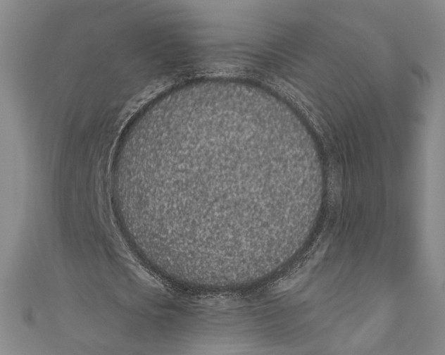 X0000110960721200907101327