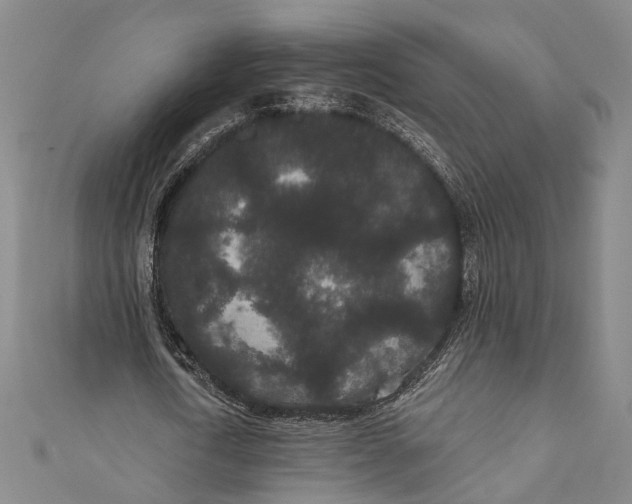 X0000110960722200907101327