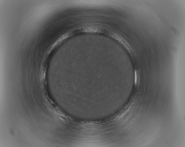 X0000110960723200907101327