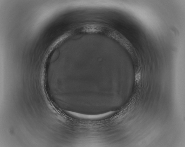 X0000110960724200907101327