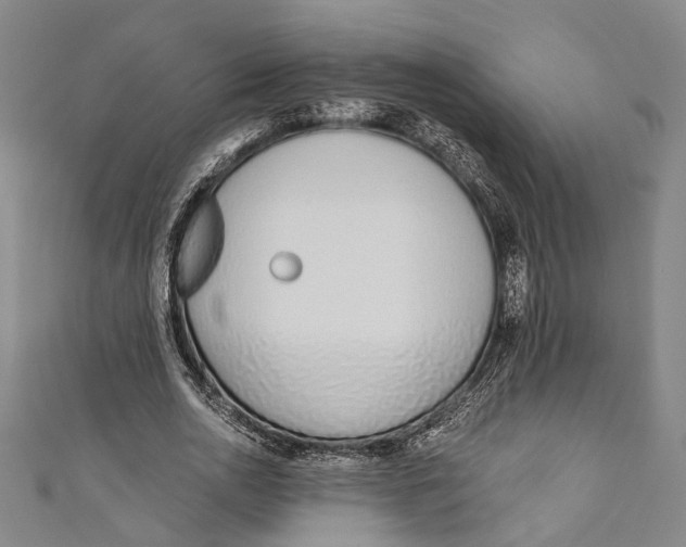 X0000110960726200907101327