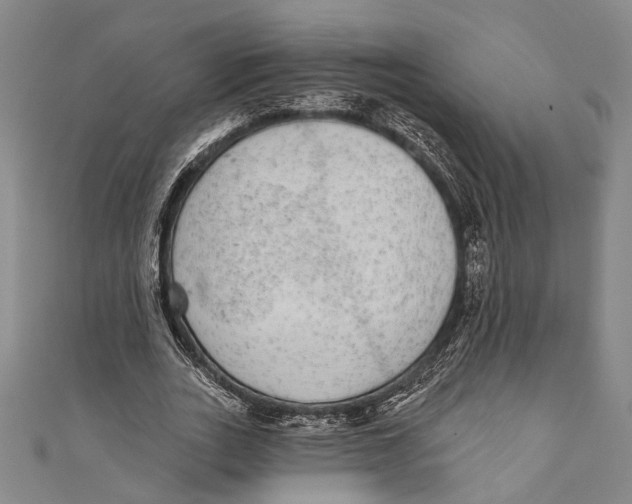 X0000110960727200907101327