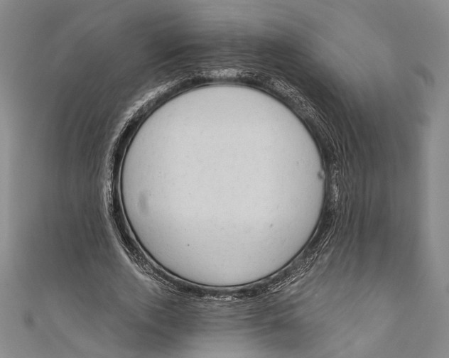 X0000110960728200907101327