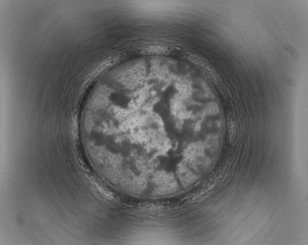 X0000110960729200907101327