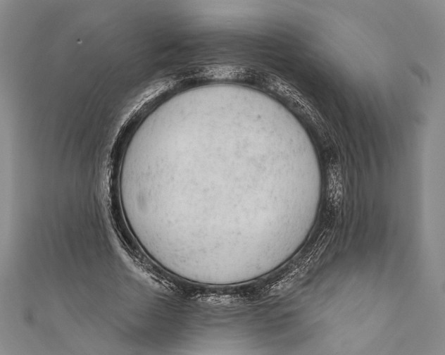 X0000110960730200907101327