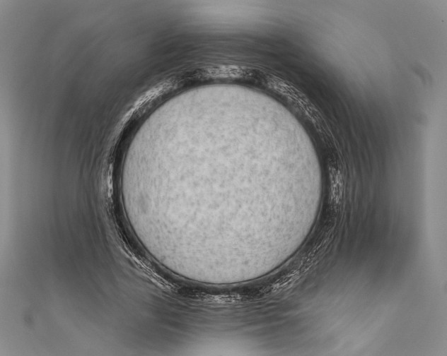 X0000110960731200907101327