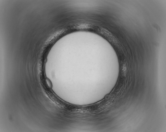 X0000110960732200907101327