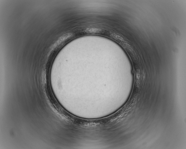 X0000110960734200907101327