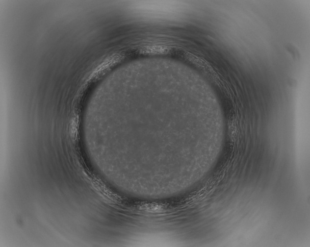 X0000110960735200907101327