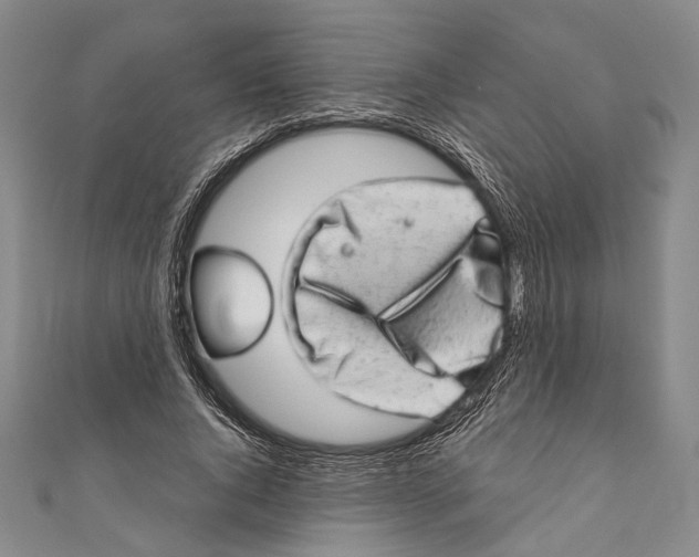 X0000110960736200907101327