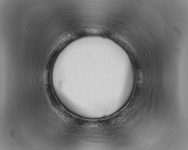 X0000110960738200907101327