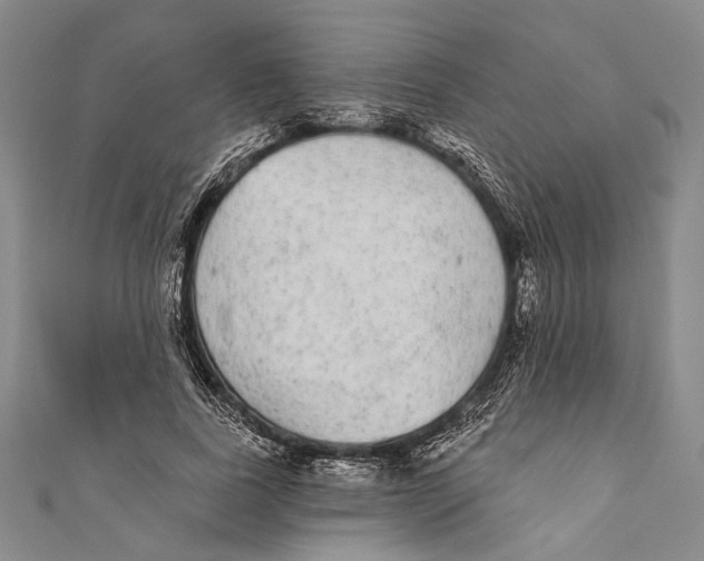 X0000110960739200907101327