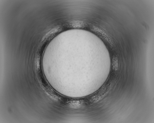 X0000110960740200907101327