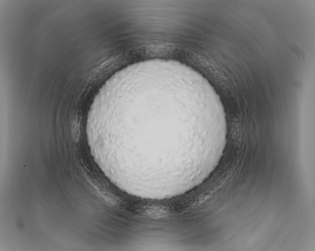 X0000110960741200907101327