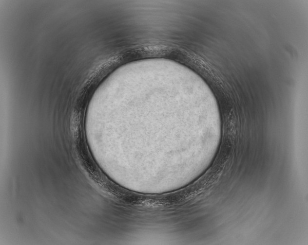 X0000110960742200907101327