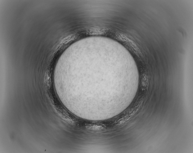 X0000110960743200907101327