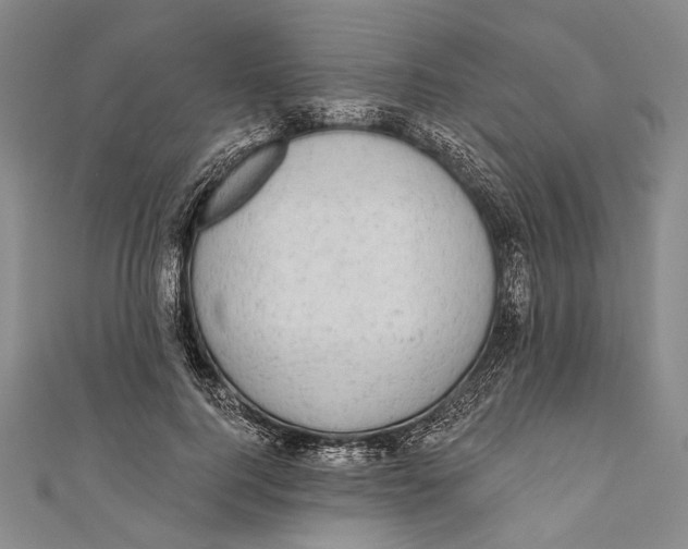 X0000110960744200907101327