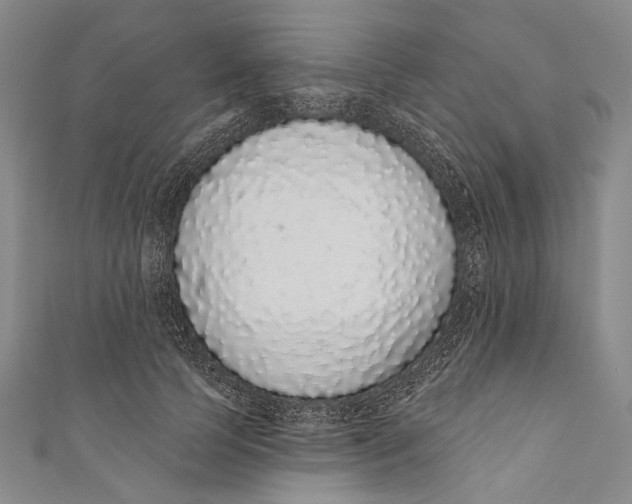 X0000110960745200907101327