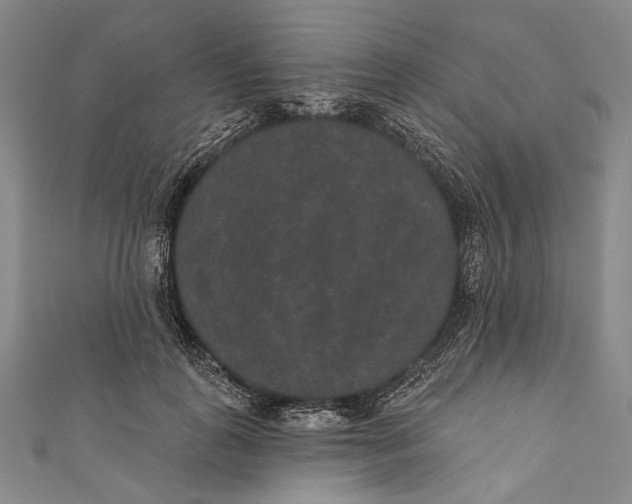 X0000110960747200907101327