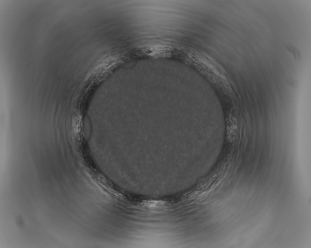 X0000110960748200907101327