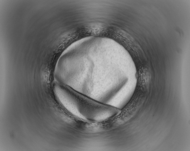 X0000110960750200907101327