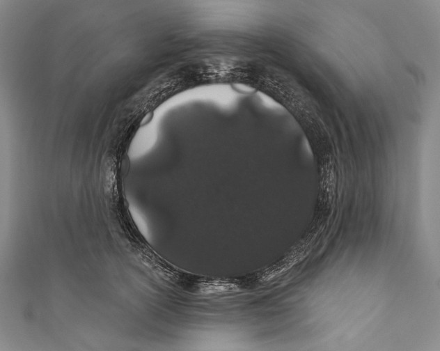 X0000110960754200907101327