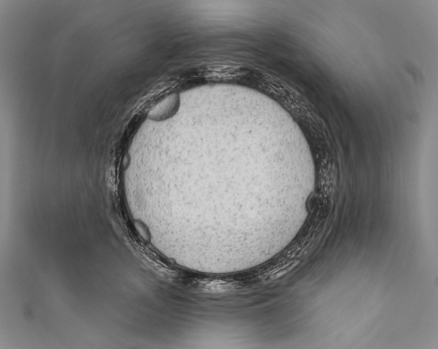 X0000110960755200907101327