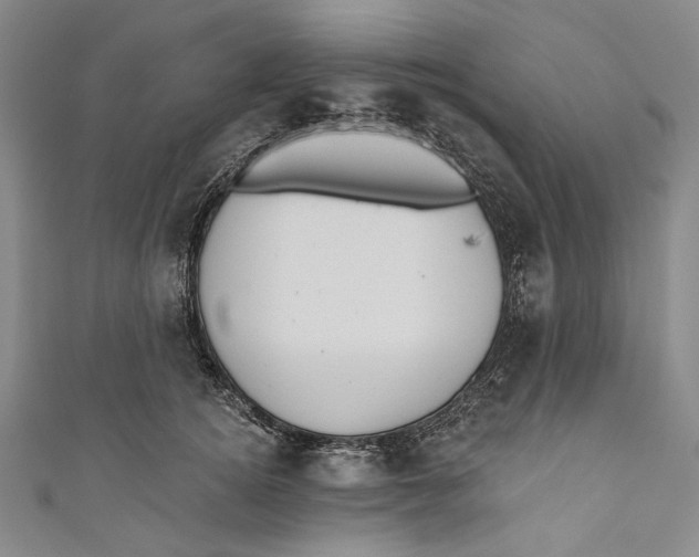 X0000110960756200907101327