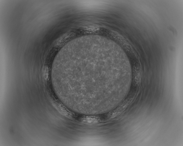 X0000110960758200907101327