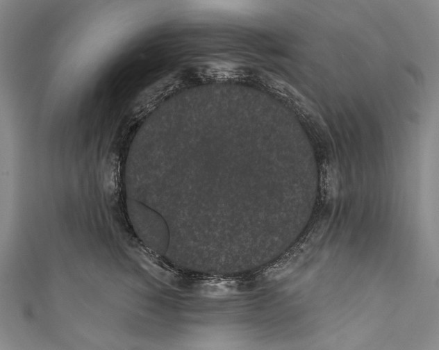 X0000110960760200907101327