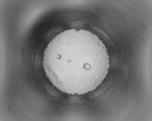 X0000110960761200907101327