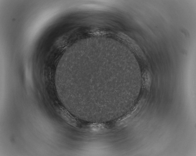 X0000110960762200907101327