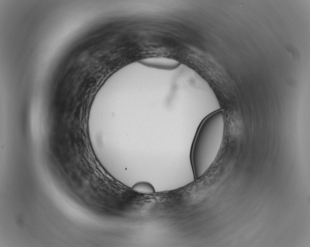 X0000110960764200907101327