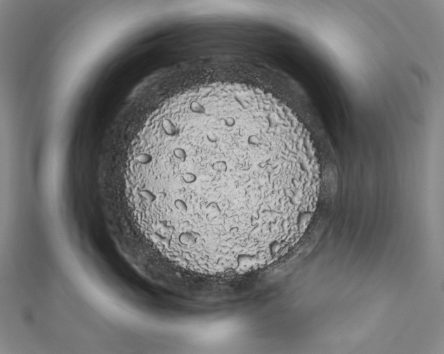 X0000110960765200907101327