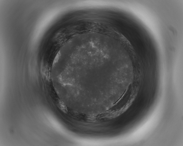 X0000110960766200907101327