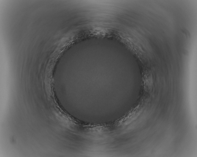 X0000110960769200907101327