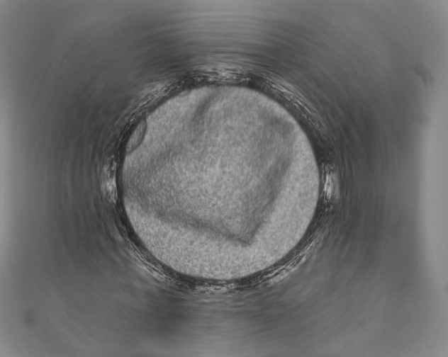 X0000110960771200907101326