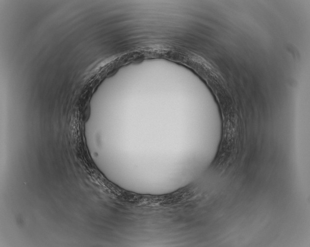 X0000110960773200907101326