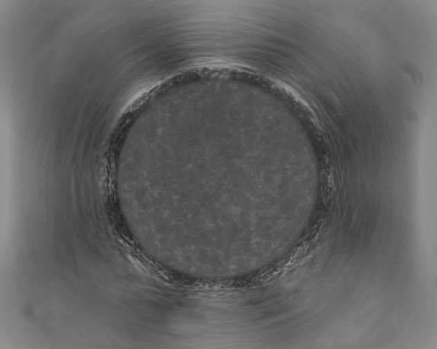 X0000110960775200907101326