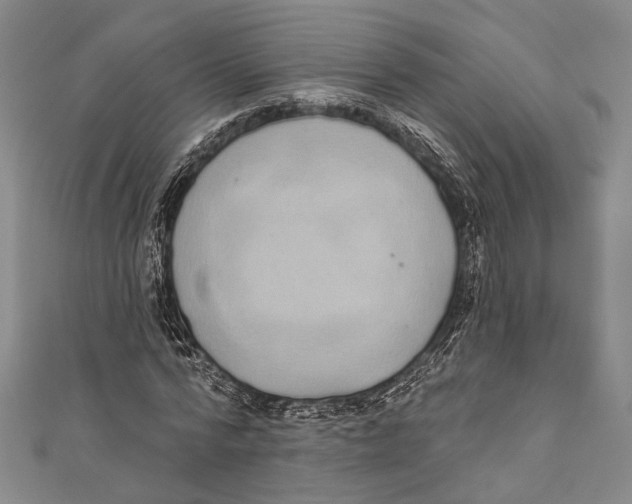 X0000110960776200907101326