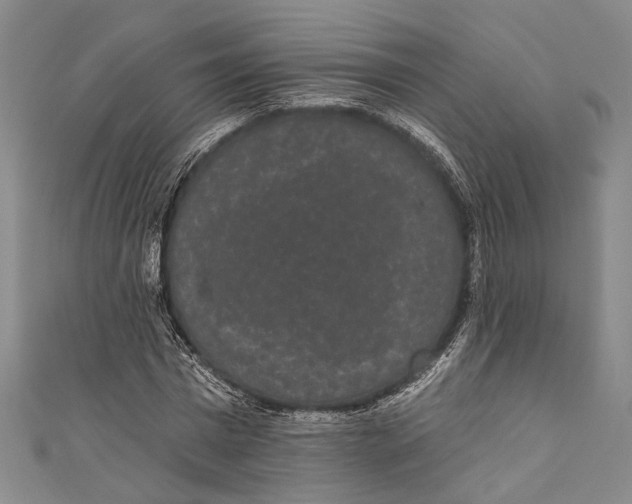 X0000110960777200907101326