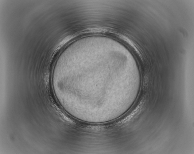 X0000110960778200907101326