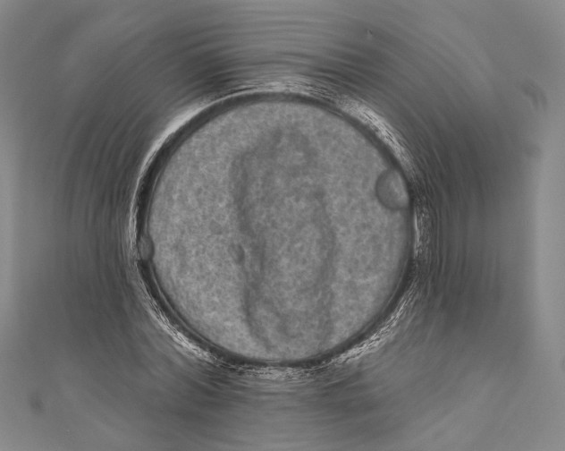 X0000110960780200907101326