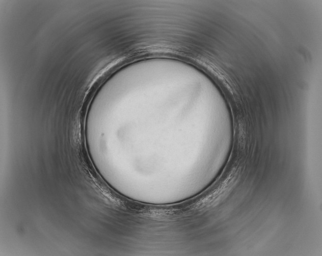 X0000110960782200907101326