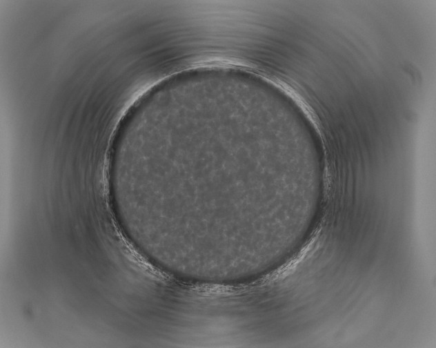 X0000110960783200907101326