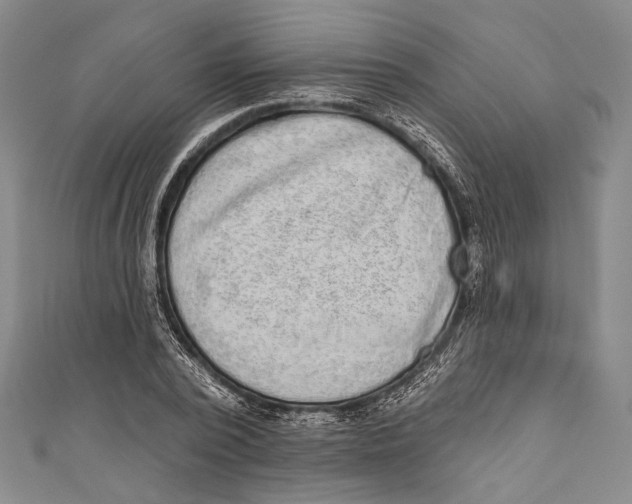 X0000110960784200907101326