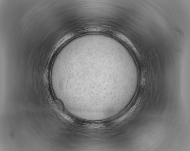 X0000110960786200907101326