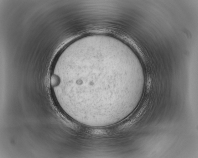 X0000110960787200907101326