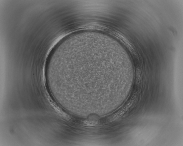 X0000110960788200907101326