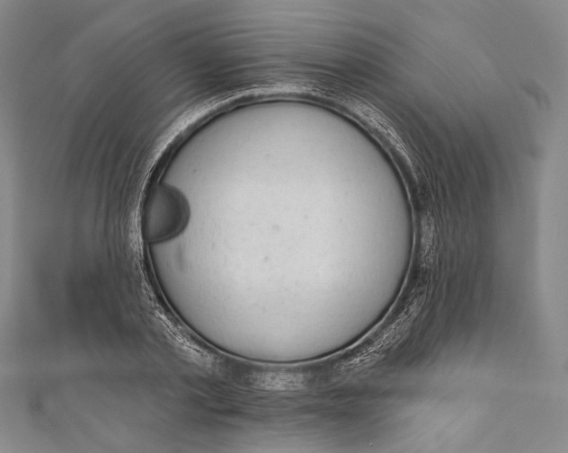 X0000110960789200907101326